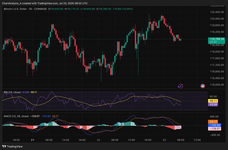 关于Coinbase飙升势惊人，一夜飙升118%，加密市场沸腾的信息